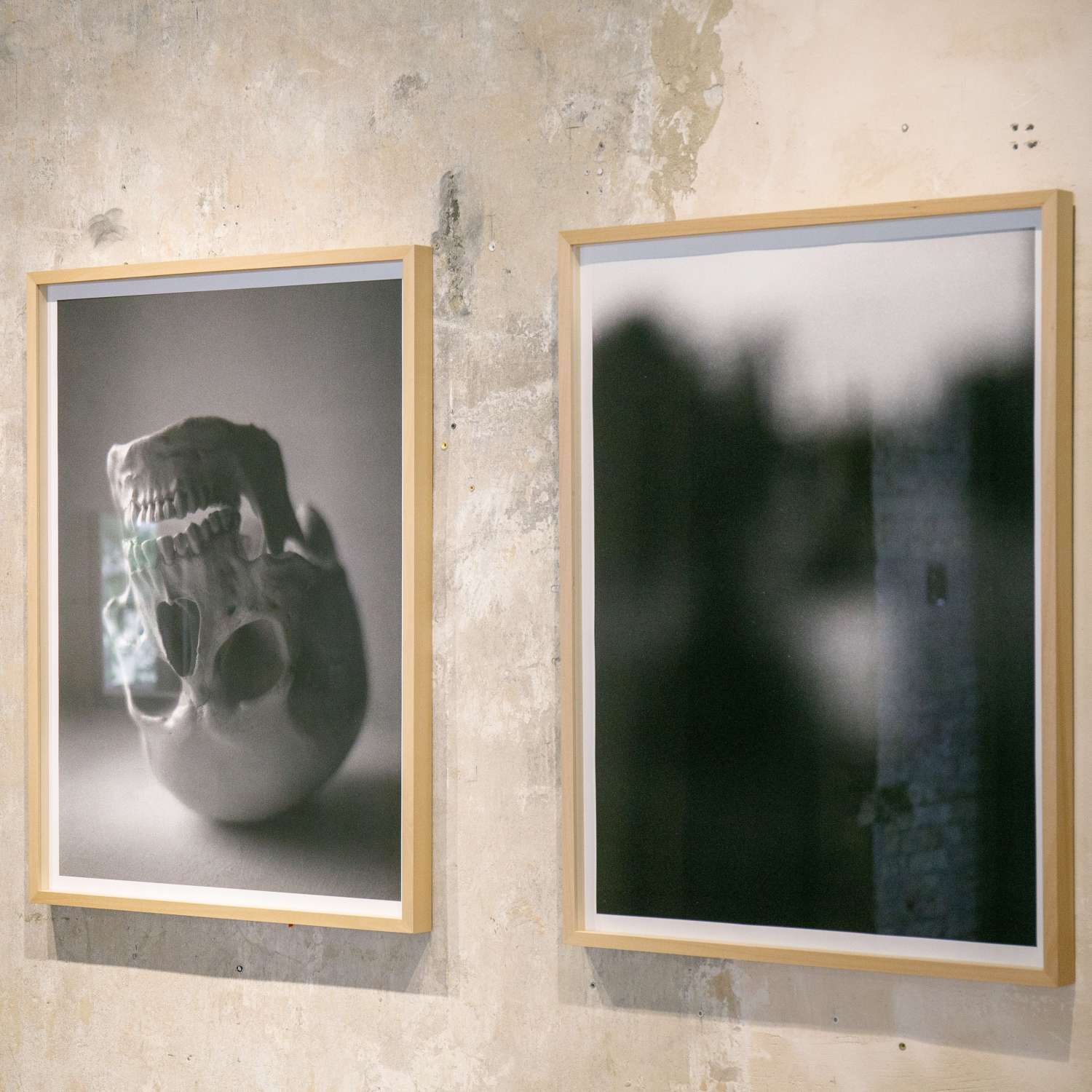 When Fear Becomes a Friend. Photo 2