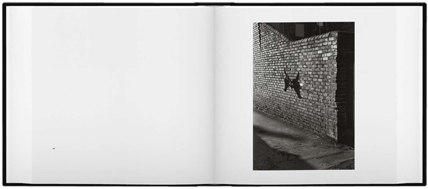 Josef Koudelka: Exiles. Image 1